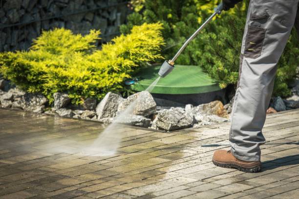 Best Solar Panel Cleaning  in Weslaco, TX