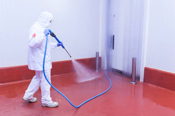 Best Oil Spill Cleanup  in Weslaco, TX