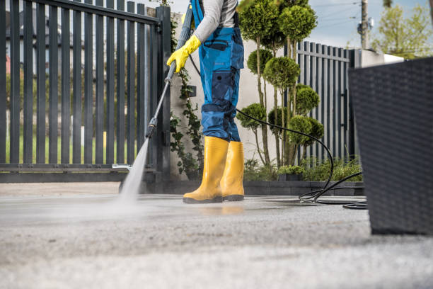 Best Building Exterior Washing  in Weslaco, TX